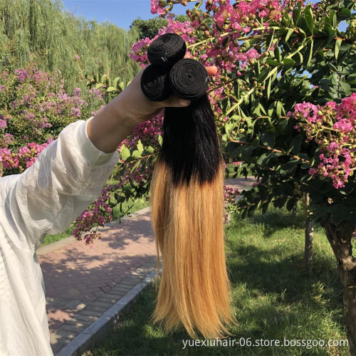 High Quality Double Drawn Brazilian Human Hair Bundles 1B 27 ombre colored Hair Extensions straight Bundles